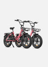 Engwe L20 | 750W Step Through Fat Tire Electric Bike