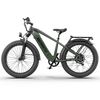 AOSTIRMOTOR KING 1000W FAT TIRE ALL-TERRAIN ELECTRIC BIKE