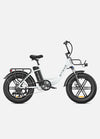 Engwe L20 | 750W Step Through Fat Tire Electric Bike