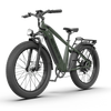 AOSTIRMOTOR KING 1000W FAT TIRE ALL-TERRAIN ELECTRIC BIKE