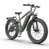 AOSTIRMOTOR KING 1000W FAT TIRE ALL-TERRAIN ELECTRIC BIKE