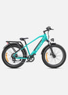 Engwe E26 Dual Suspension All-Terrain Ebike – Cheapskate