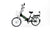 Leafy Bikes Leafy Night  48V 10 Ah electric bike