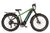 Snapcycle R1 Pro 48V 20Ah 750W Electric Bike