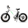 Nakto Mini Cruiser 20&quot; Fat Tire Electric Bike 300W 36V