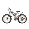 Aostirmotor Electric Bike S18-1500W