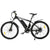UL Certified-Ecotric Vortex Electric City Bike 350W 36V 12.5AH