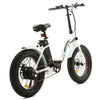 Ecotric Dolphin 500W E-Bike