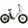 Ecotric Dolphin 500W E-Bike