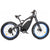 Ecotric 48v 17.6AH 1000W Big fat tire E-bike Bison-Matt Black