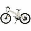 Ecotric Seagull Electric Mountain Bicycle  1000W 48V/13 AH