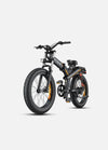 ENGWE X24 1200W(Peak) 93 miles Triple Suspension Foldable E-bike